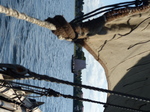 FZ033084 Sailing on viking boat.jpg